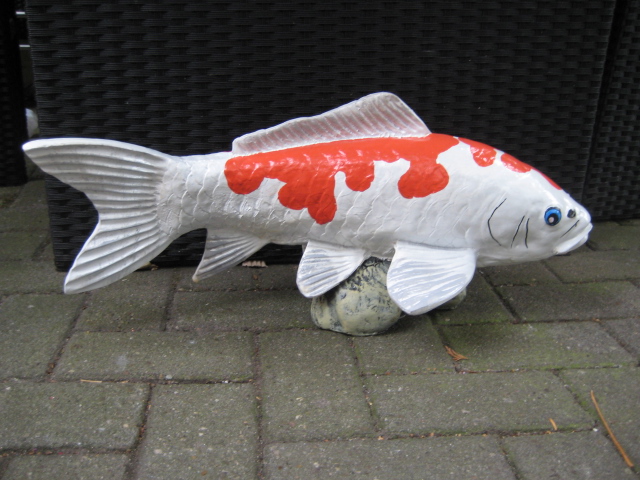 koi koi