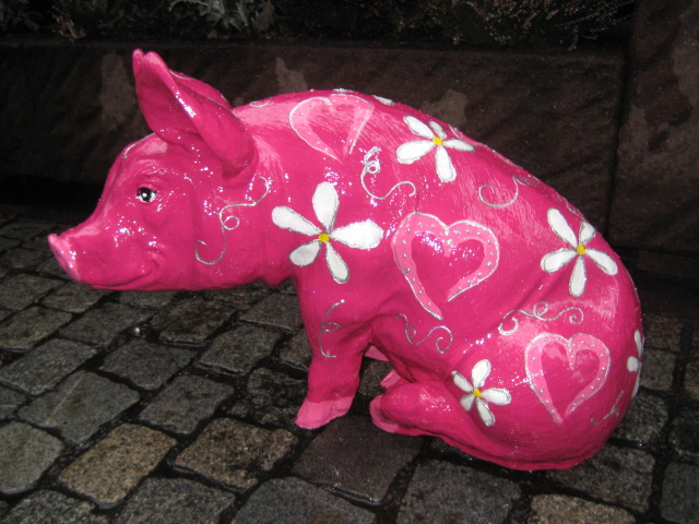sitzendes schwein sitzendes schwein