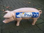 PIG-LYX, Sonderanfertigung