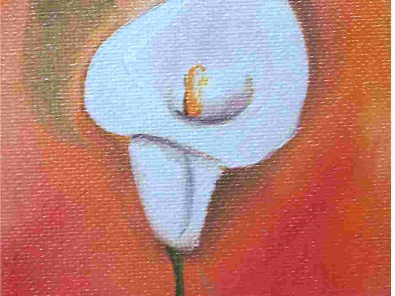 Archiv-Blumen_13