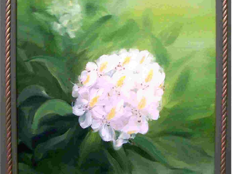 Archiv-Blumen_14