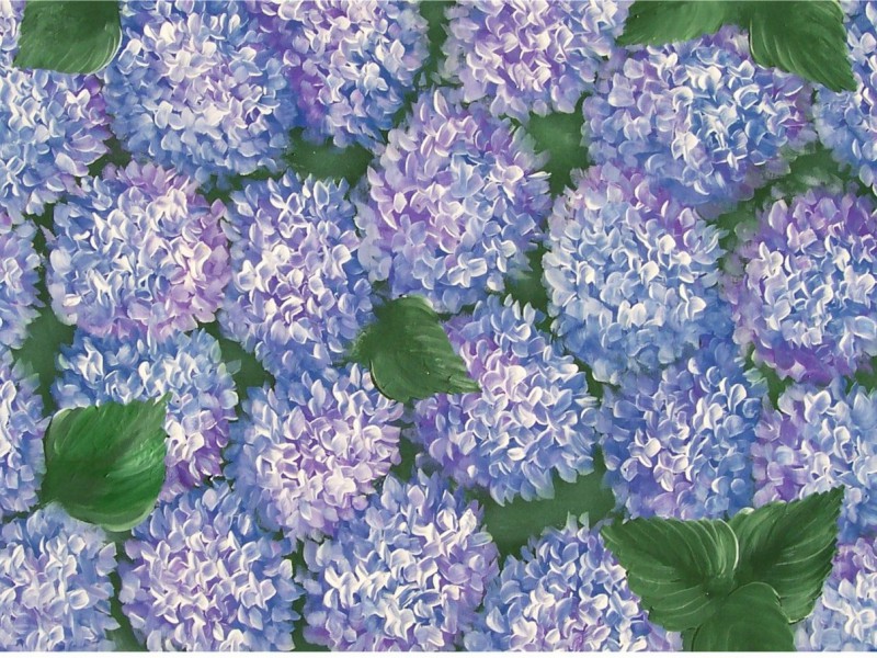 Archiv-Blumen_168