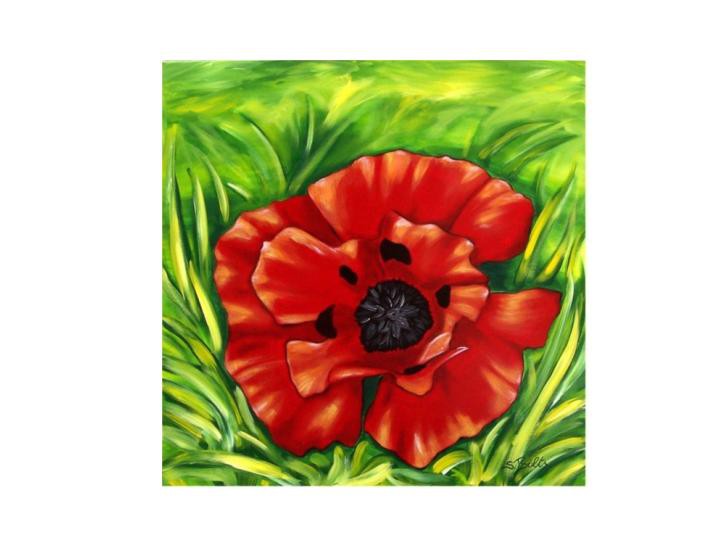 Archiv-Blumen_289