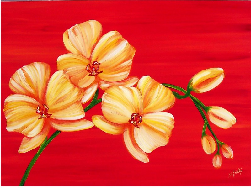 Archiv-Blumen_312