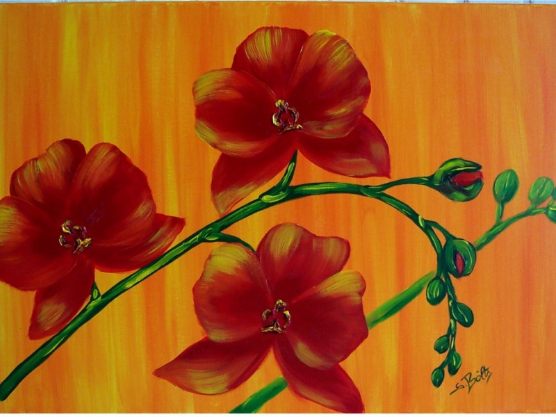 Archiv-Blumen_315