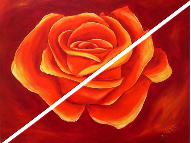 Archiv-Blumen_361