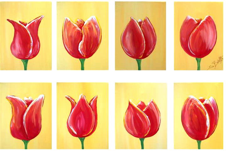 Archiv-Blumen_408