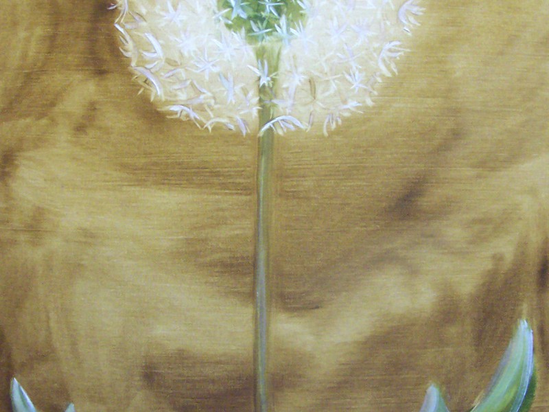 Archiv-Blumen_482
