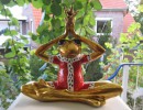 Frösche und Froschkönige_54