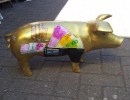 Große Schweine_137