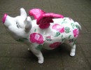 Hummel-Schweine_116
