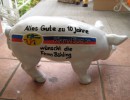 Kleine Schweine_132