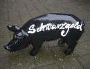 Kleine Schweine_207