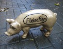 Kleine Schweine_66