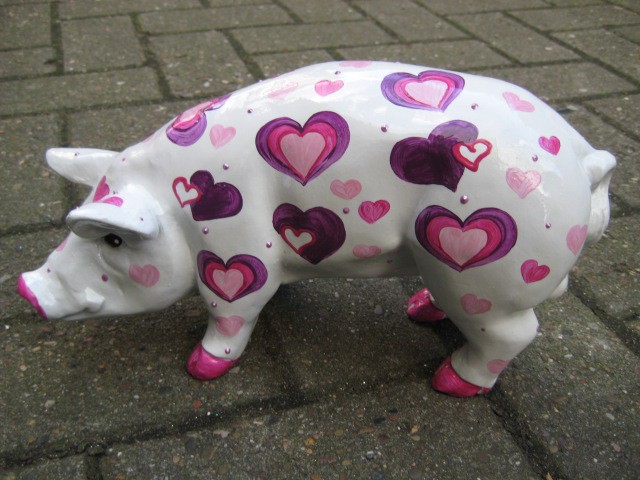 Mini-Schwein_10