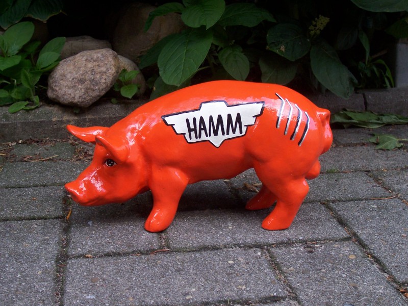 Mini-Schwein_102