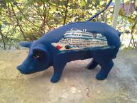Mini-Schwein_107