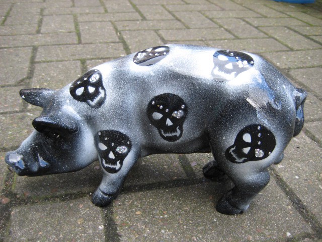 Mini-Schwein_11