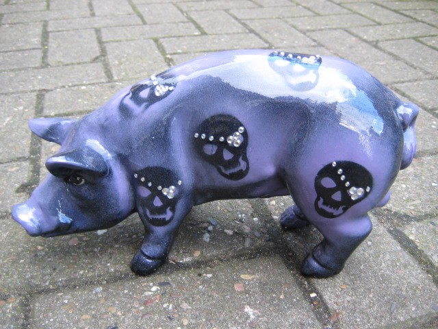 Mini-Schwein_12