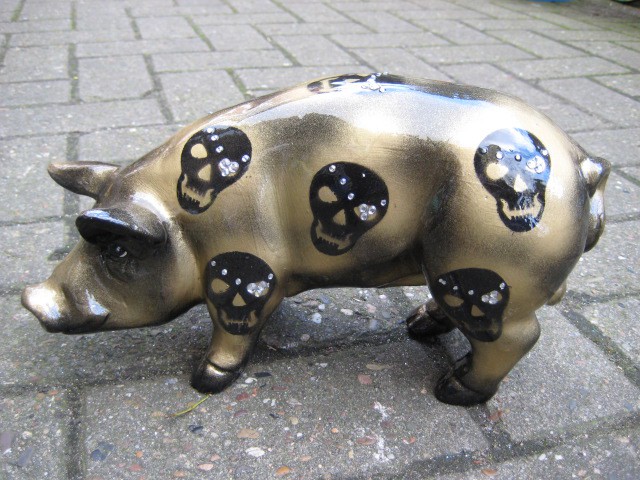 Mini-Schwein_13
