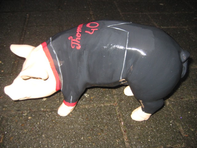 Mini-Schwein_131