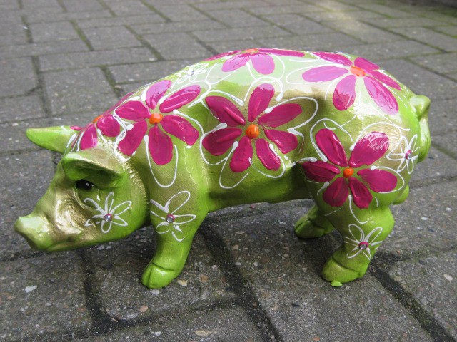 Mini-Schwein_15