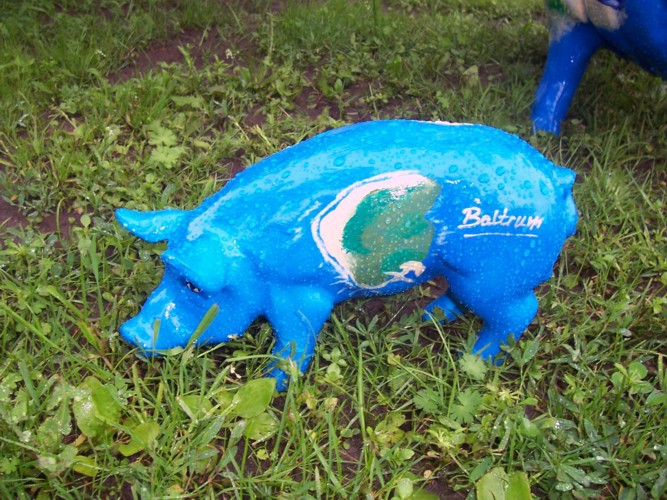 Mini-Schwein_160