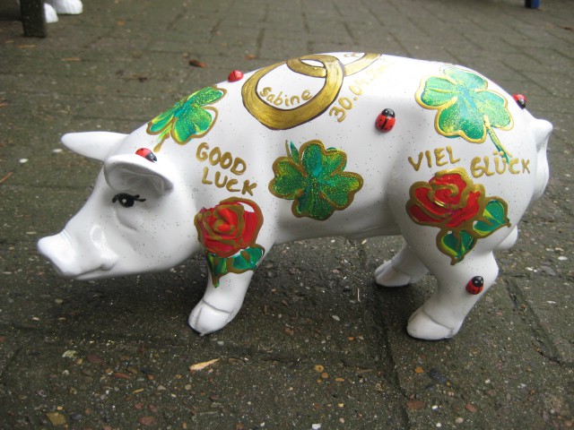 Mini-Schwein_167