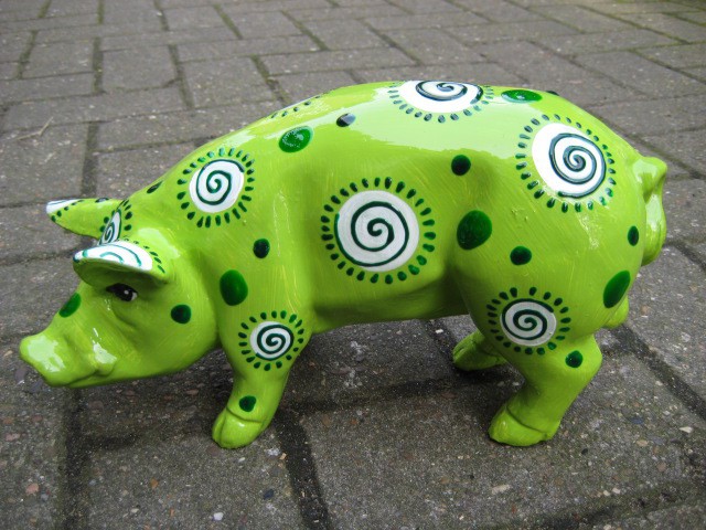 Mini-Schwein_17