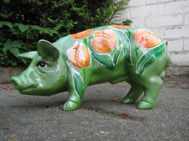 Mini-Schwein_175