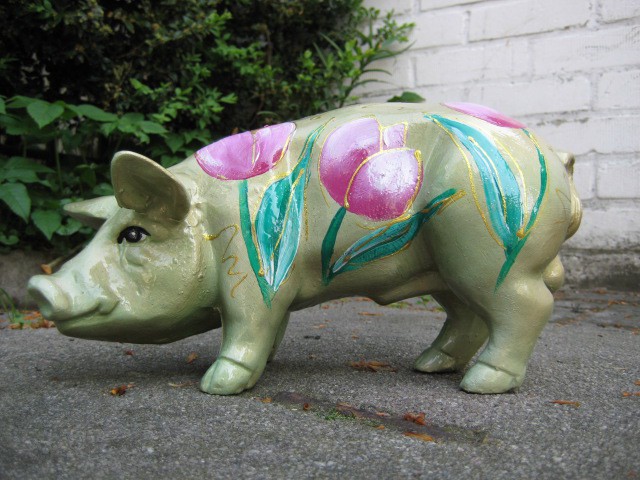 Mini-Schwein_176