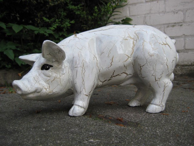 Mini-Schwein_177