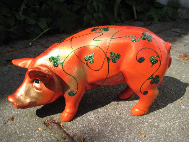 Mini-Schwein_181
