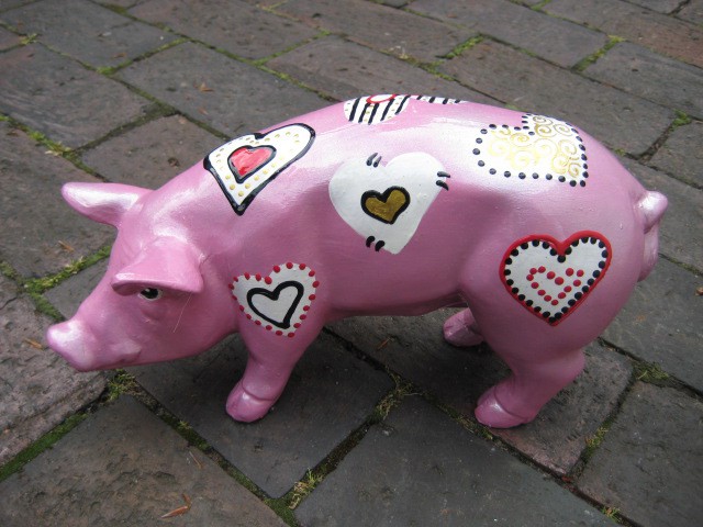 Mini-Schwein_189