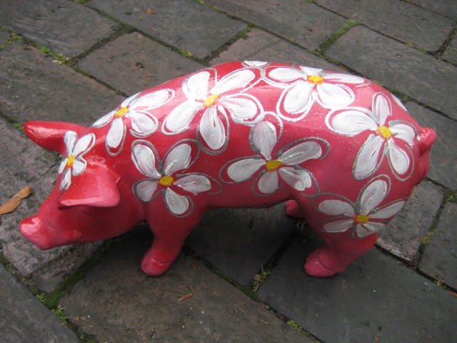 Mini-Schwein_191