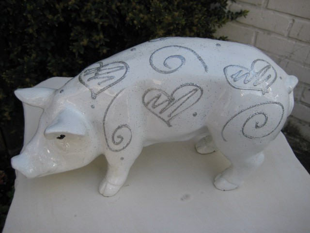 Mini-Schwein_212