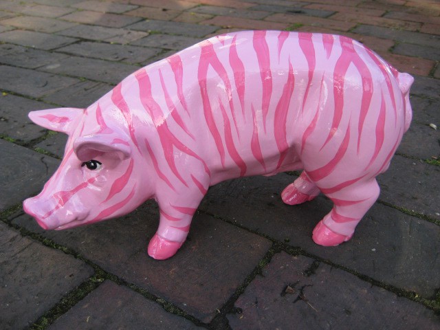 Mini-Schwein_220
