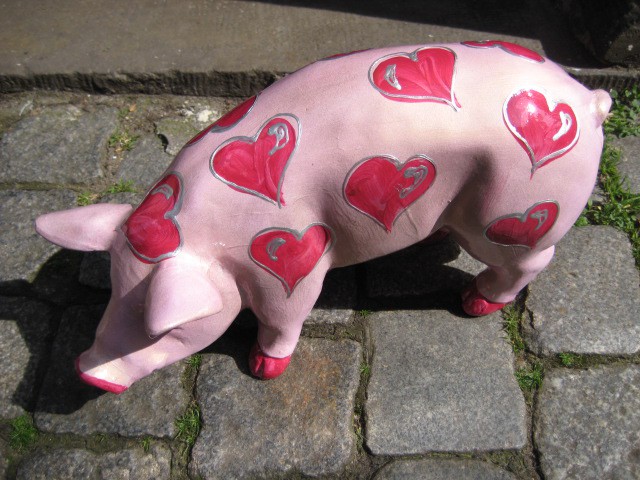 Mini-Schwein_225