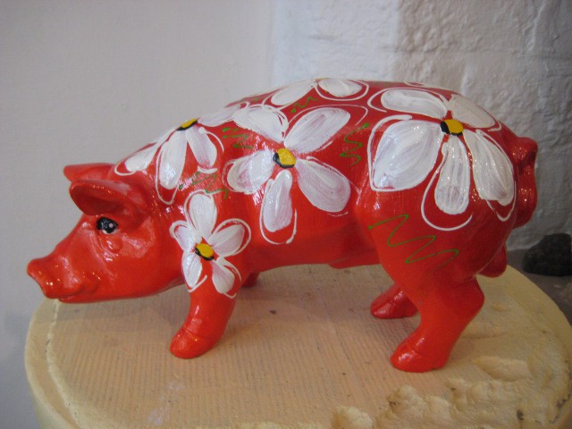 Mini-Schwein_229