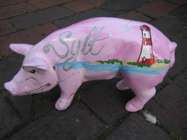Mini-Schwein_232