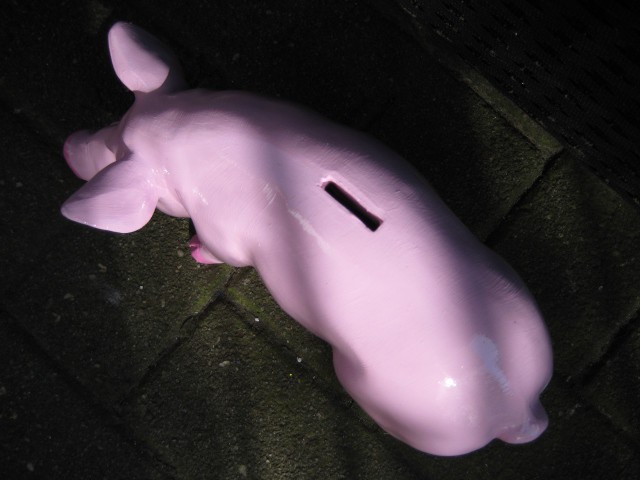 Mini-Schwein_234