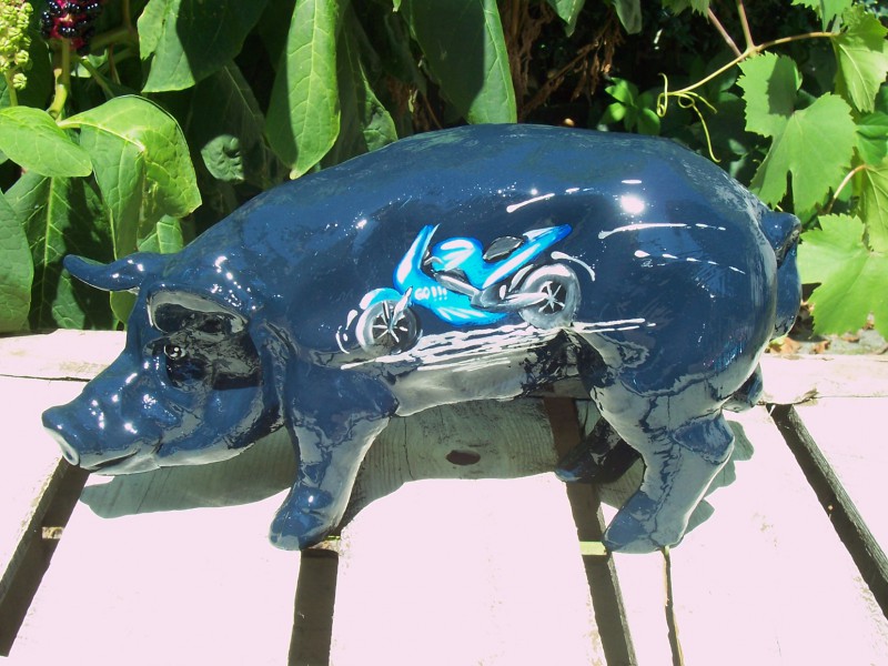 Mini-Schwein_24