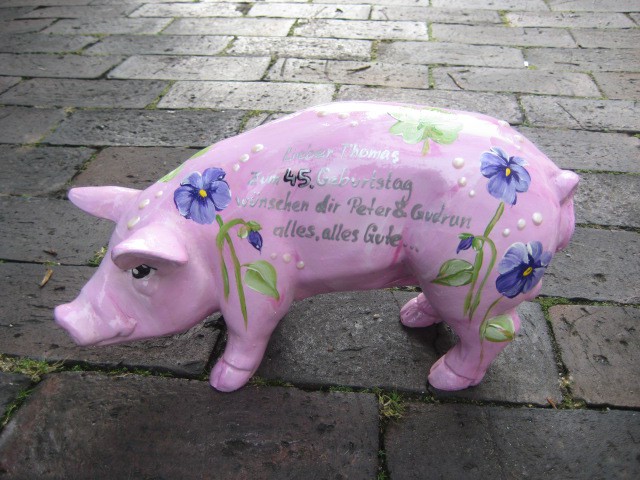 Mini-Schwein_243
