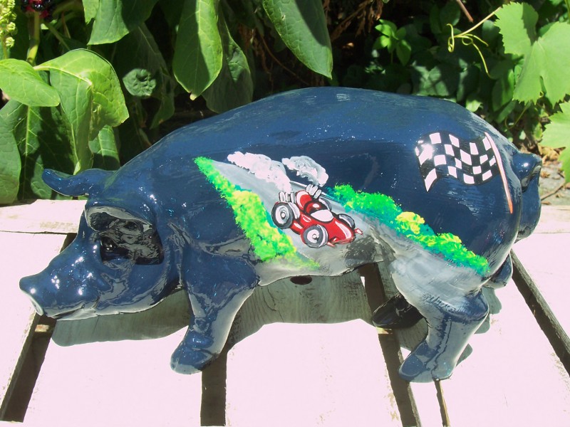 Mini-Schwein_25