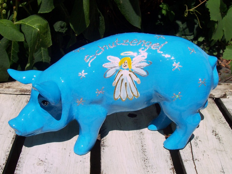 Mini-Schwein_26