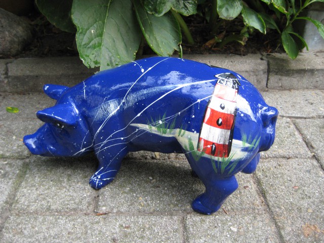 Mini-Schwein_261