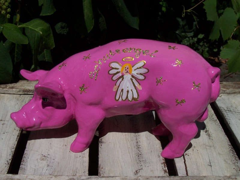 Mini-Schwein_27