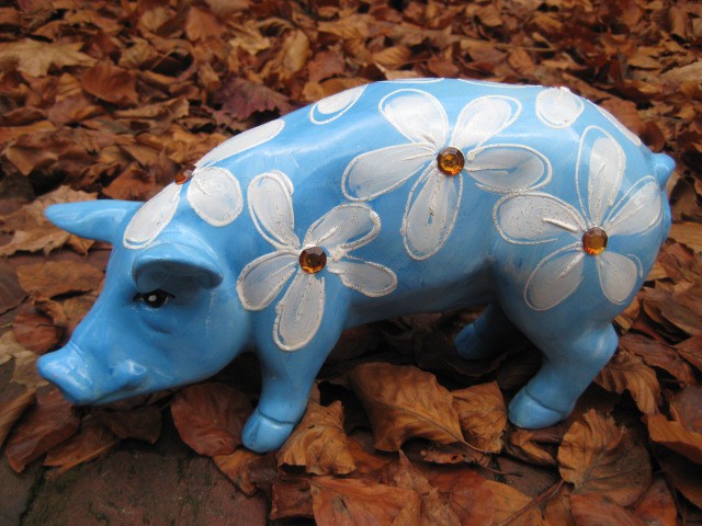 Mini-Schwein_274