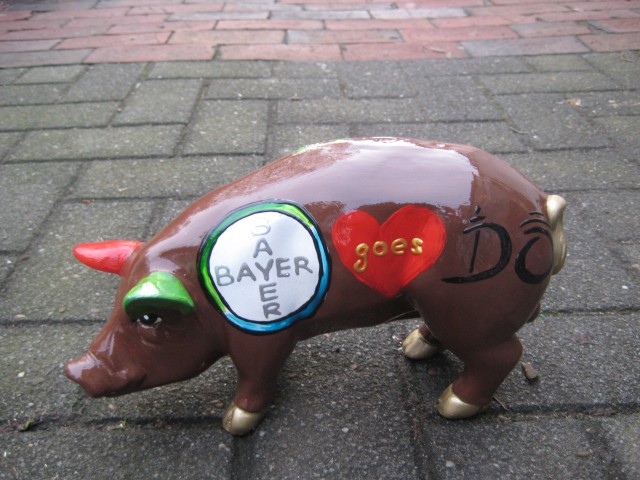 Mini-Schwein_278