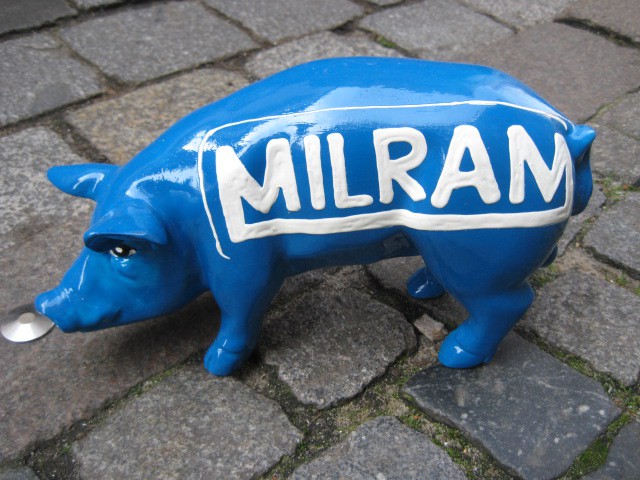 Mini-Schwein_292